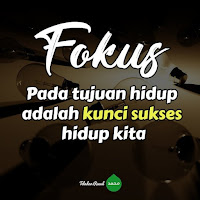 fokus