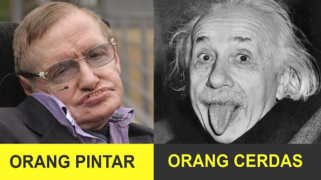 Perbedaan pintar dan jenius 1