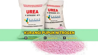 pupuk urea nitrogen