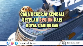 cara bekerja kembali setelah resign dari royal caribbean 1