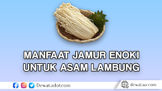 MANFAAT20JAMUR20ENOKI20UNTUK20ASAM20LAMBUNG 1